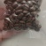 产地直供云南咖啡种植基地咖啡豆铁皮卡卡蒂姆生豆熟豆量大