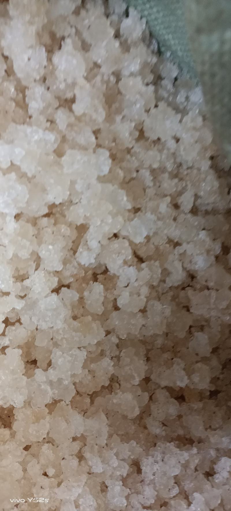 雪燕