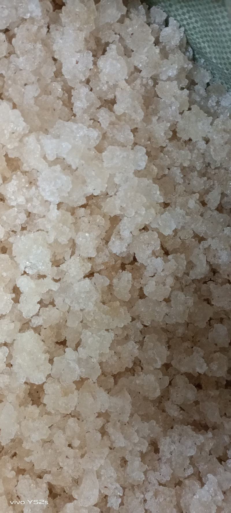 雪燕