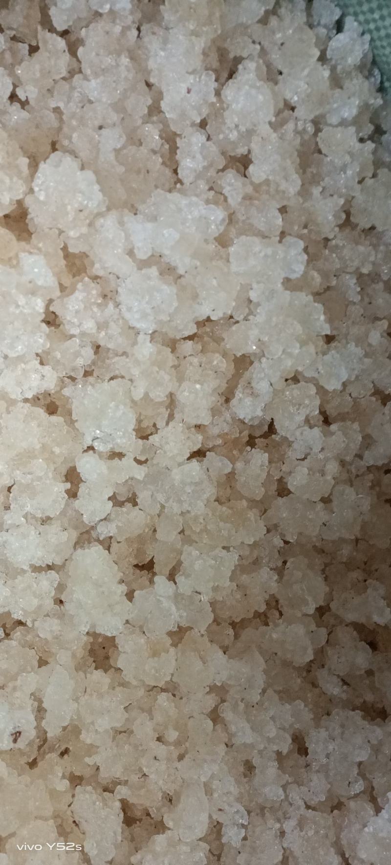 雪燕