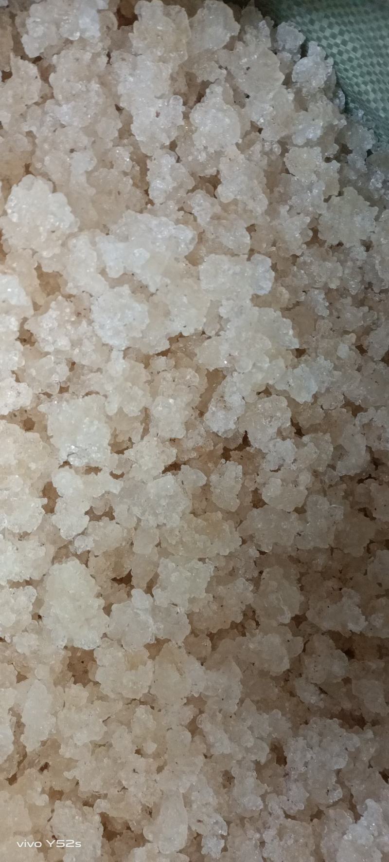 雪燕