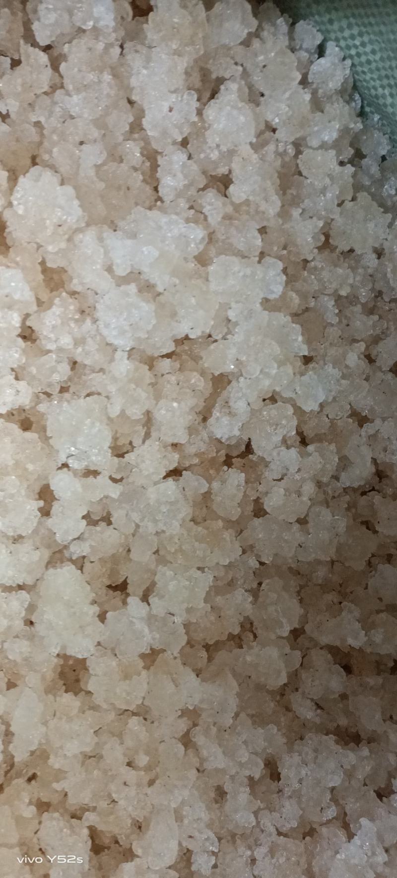 雪燕