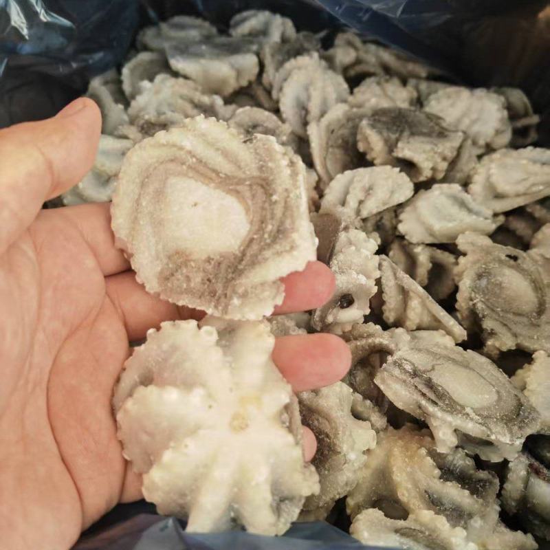 山东威海石岛单冻小八爪章鱼，鲜品活冻质量，各种规格齐全。