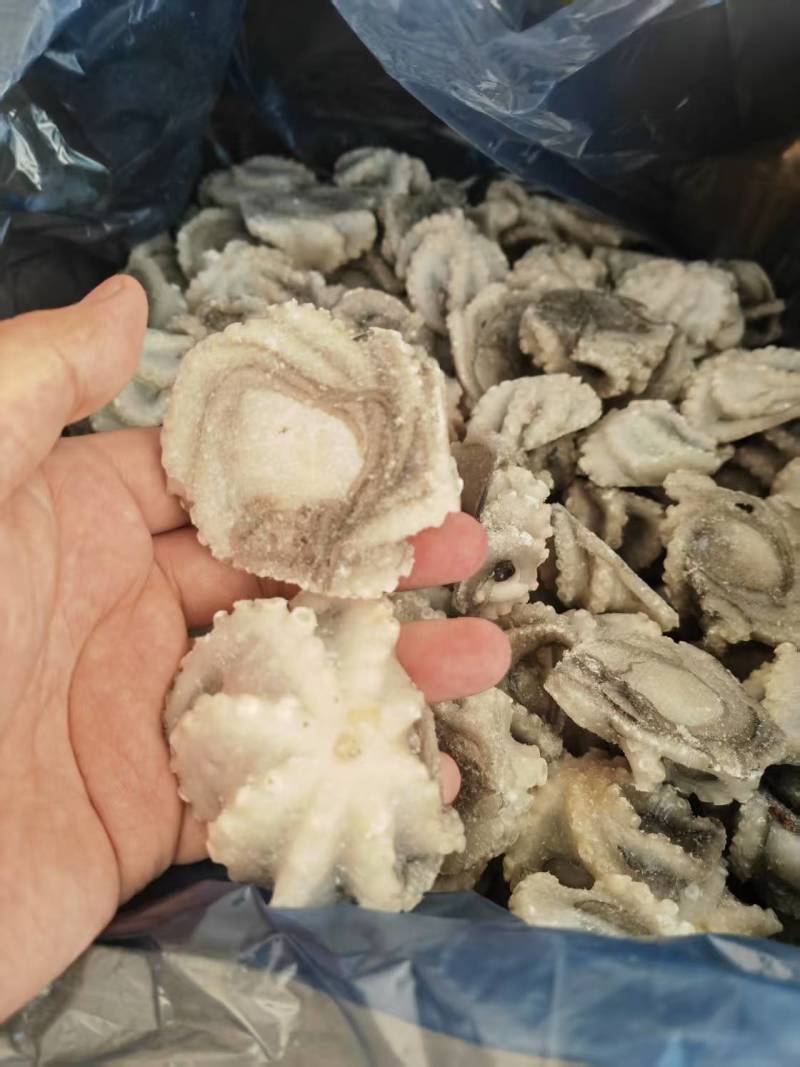 山东威海石岛单冻小八爪章鱼，鲜品活冻质量，各种规格齐全。