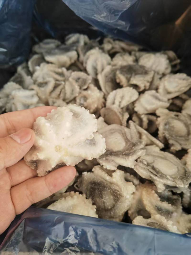 山东威海石岛单冻小八爪章鱼，鲜品活冻质量，各种规格齐全。