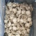 山东威海石岛单冻小八爪章鱼，鲜品活冻质量，各种规格齐全。