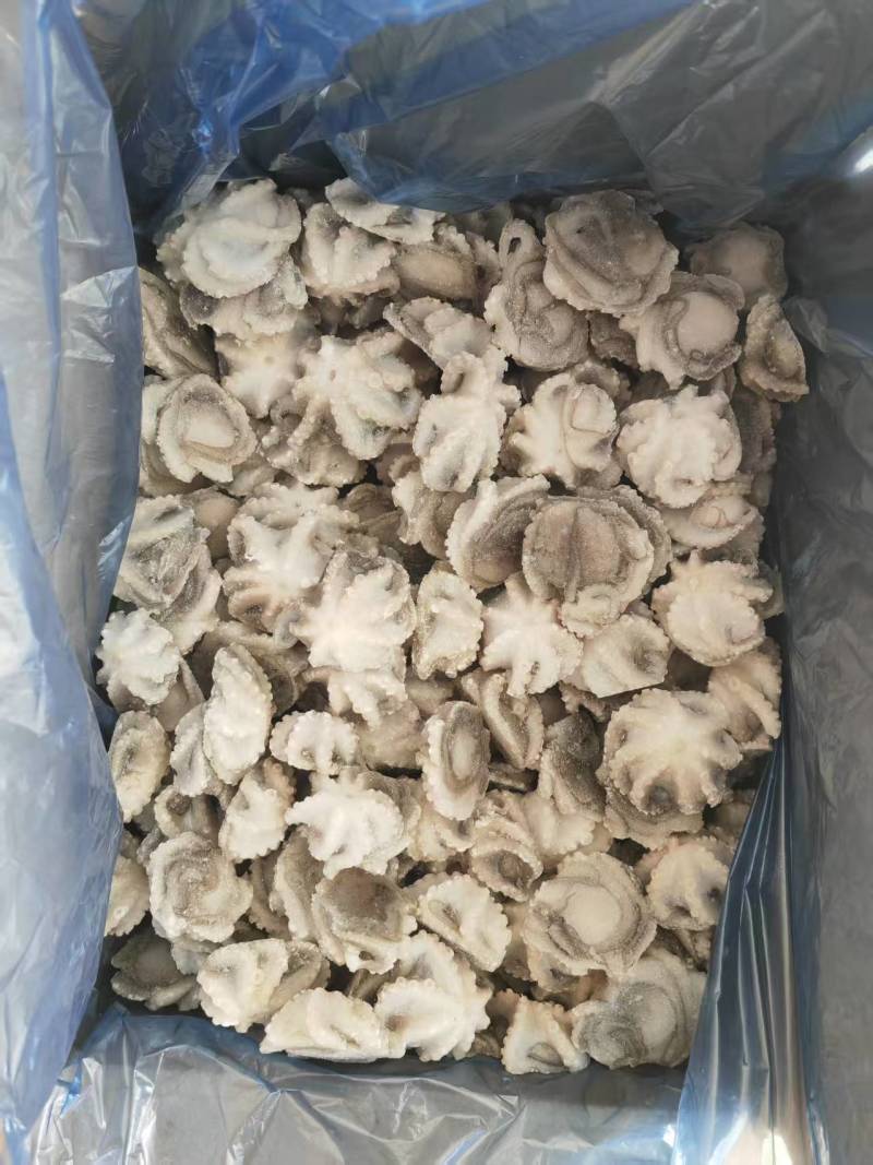 山东威海石岛单冻小八爪章鱼，鲜品活冻质量，各种规格齐全。