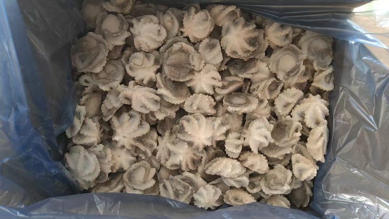 山东威海石岛单冻小八爪章鱼，鲜品活冻质量，各种规格齐全。