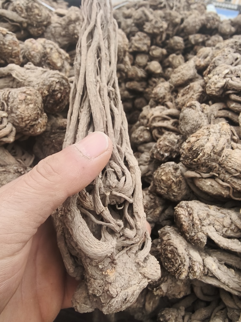 甘肃本地当归，大小规格齐全，产地直发，无硫，无水洗