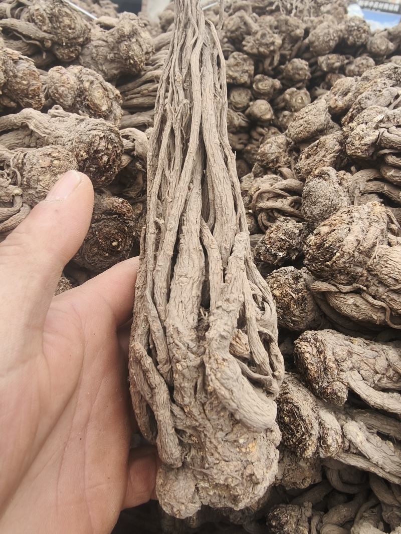 甘肃本地当归，大小规格齐全，产地直发，无硫，无水洗