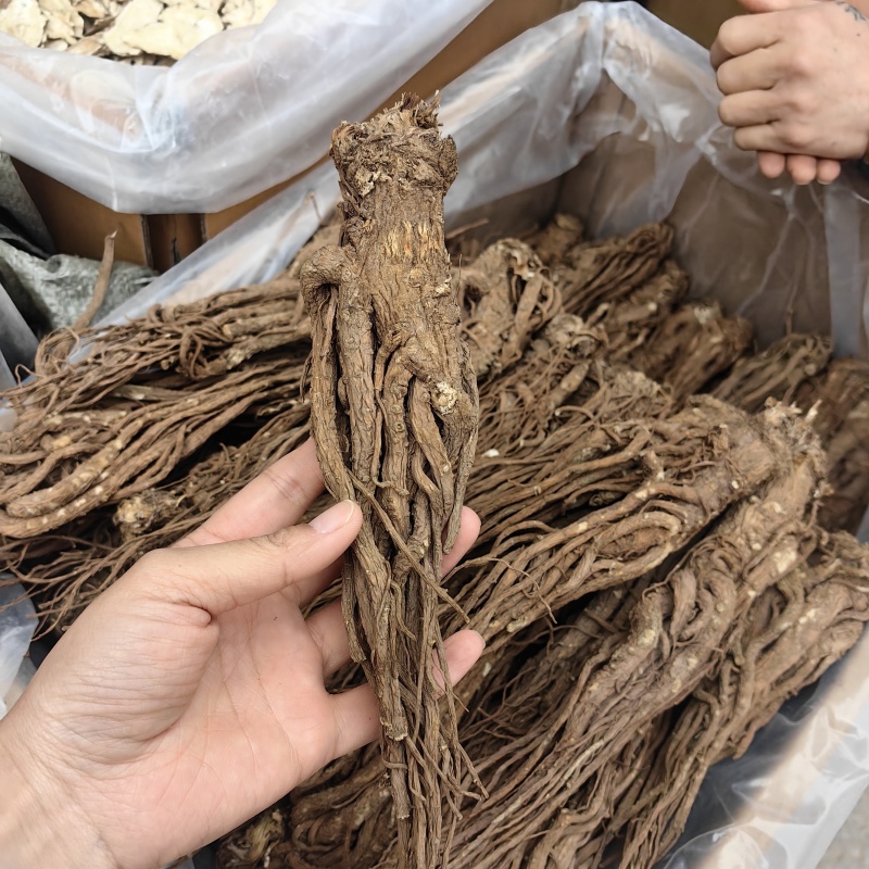 当归当归个各种规格批发零售