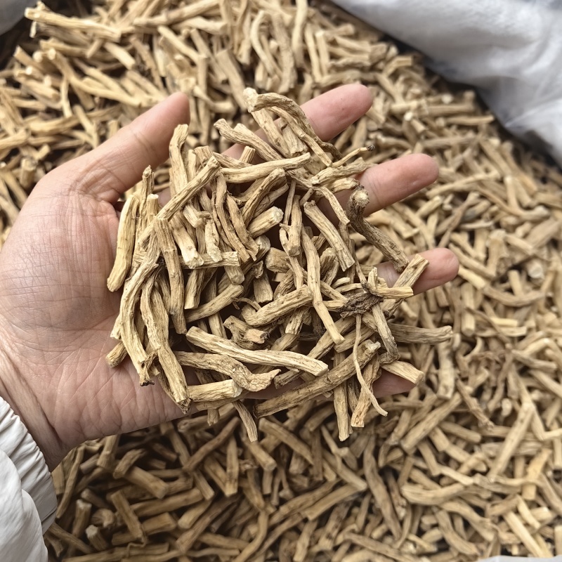党参节各种节子各种规格批发零售