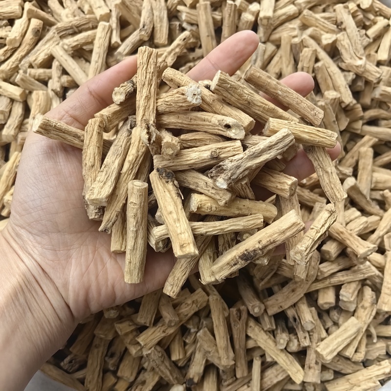 党参节各种节子各种规格批发零售