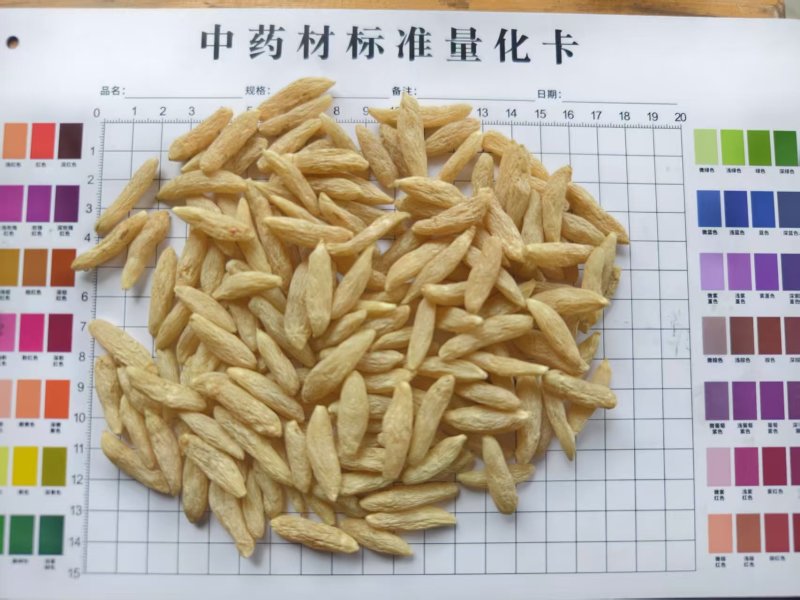 四川麦冬绵阳麦冬基地直供品质保证欢迎联系下单
