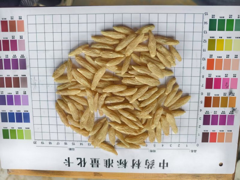 川麦冬绵阳麦冬货源充足基地直供品质保证欢迎联系