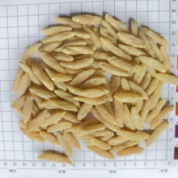 川麦冬绵阳麦冬货源充足基地直供品质保证欢迎联系