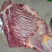 正宗驴肉批发