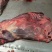 正宗驴肉批发