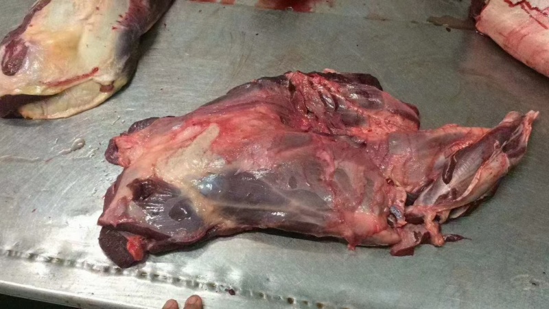 正宗驴肉批发