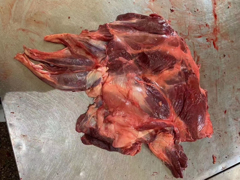 正宗驴肉批发