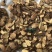 何首乌，大量有货产地直供品质保证价格优惠全国发货
