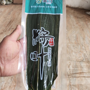 端午粽叶真空包装粽子叶新鲜湿竹叶