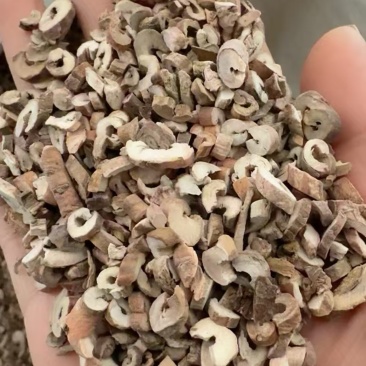 丹皮，大量有货产地直供品质保证价格优惠全国发货