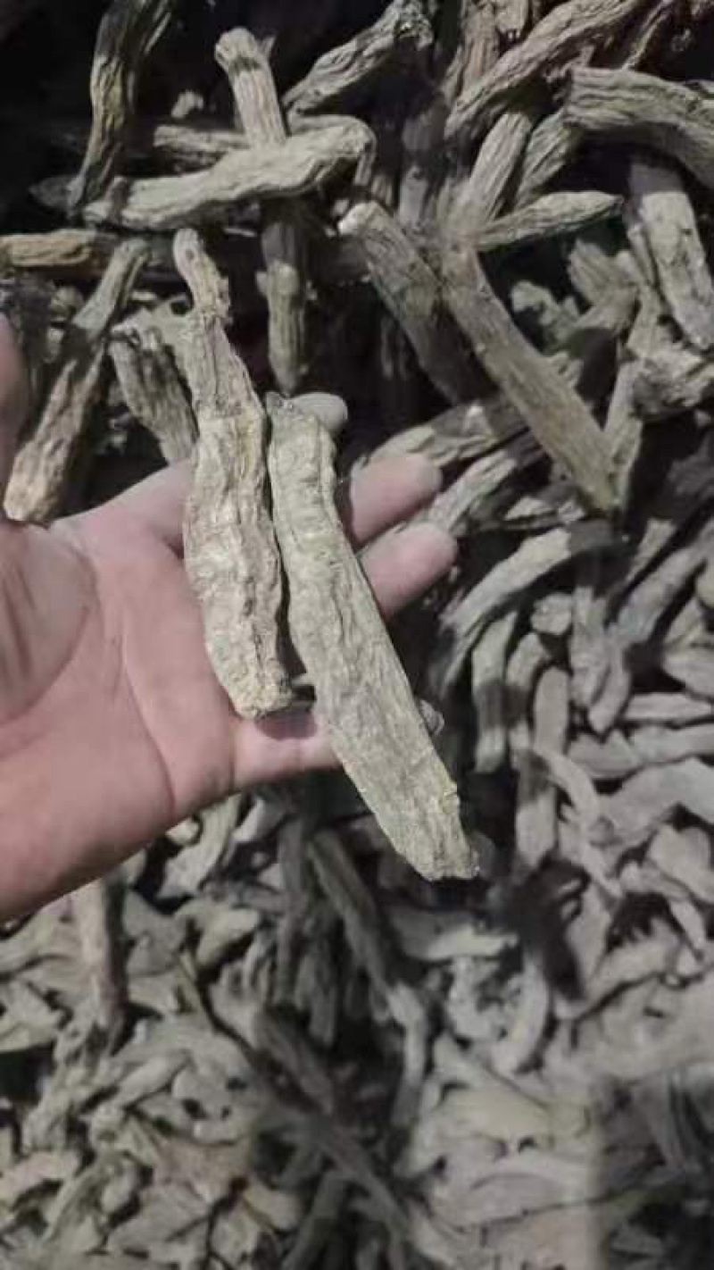 玄参片，大量上市产地直供品质保证价格优惠全国发货