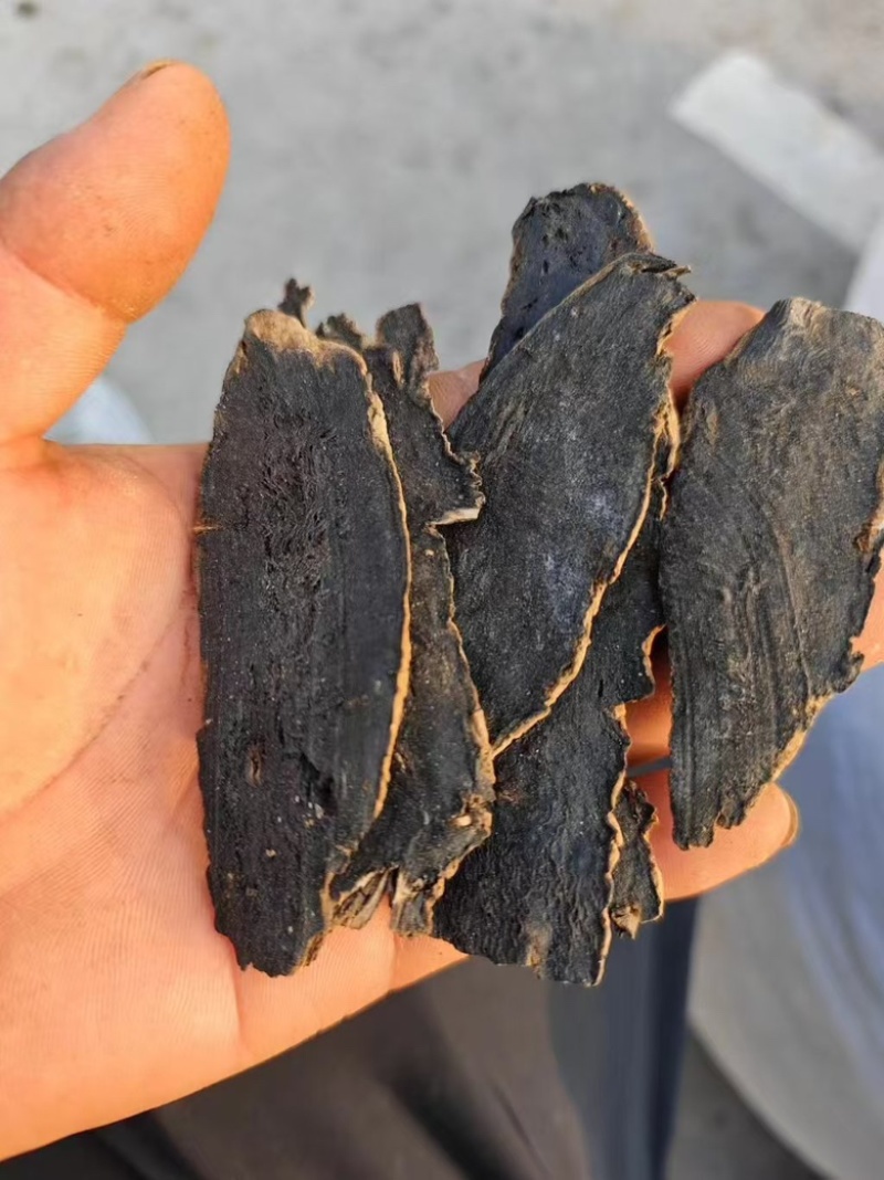 玄参片，大量上市产地直供品质保证价格优惠全国发货