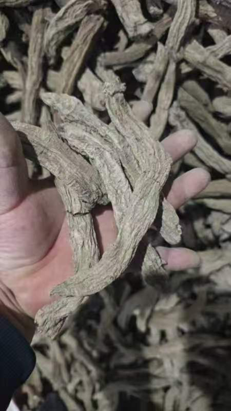 玄参片，大量上市产地直供品质保证价格优惠全国发货