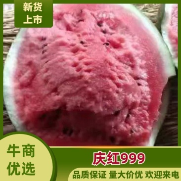 〔热卖〕吉林圆瓜京欣西瓜量大质优瓜漏，二茬瓜诚信代