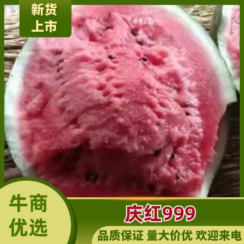 〔热卖〕吉林圆瓜京欣西瓜量大质优瓜漏，二茬瓜诚信代