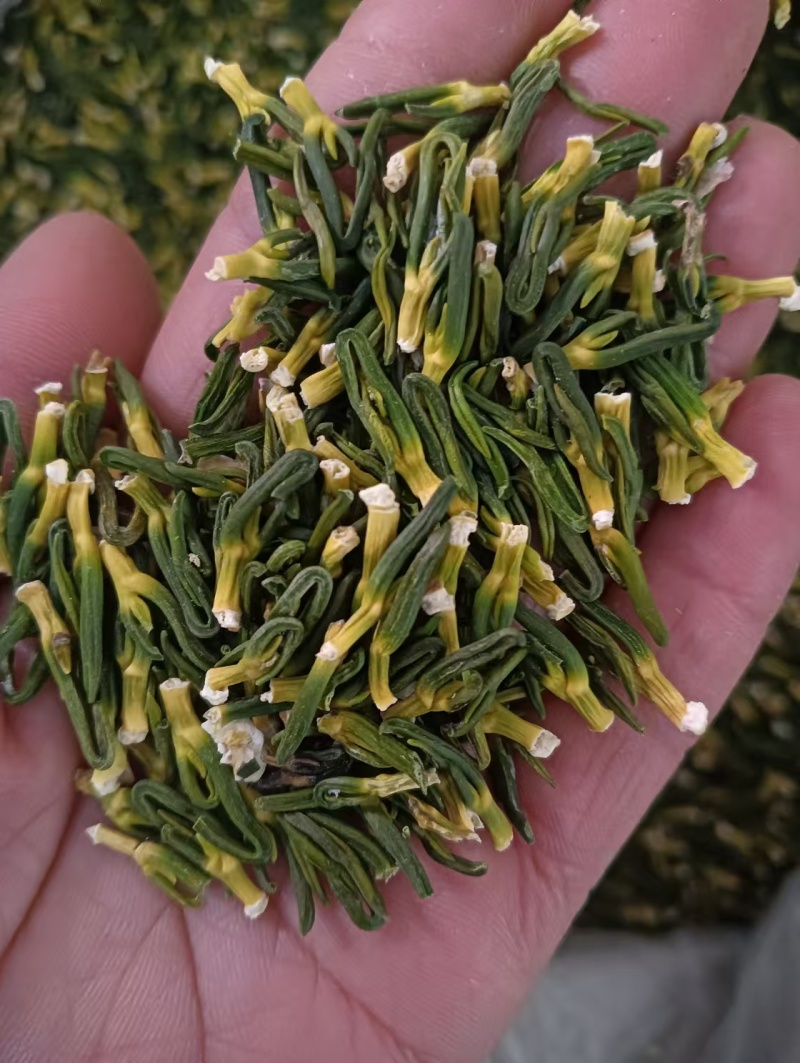 莲子芯上新！莲子心原材严选，实物实拍，鲁赣药材批发