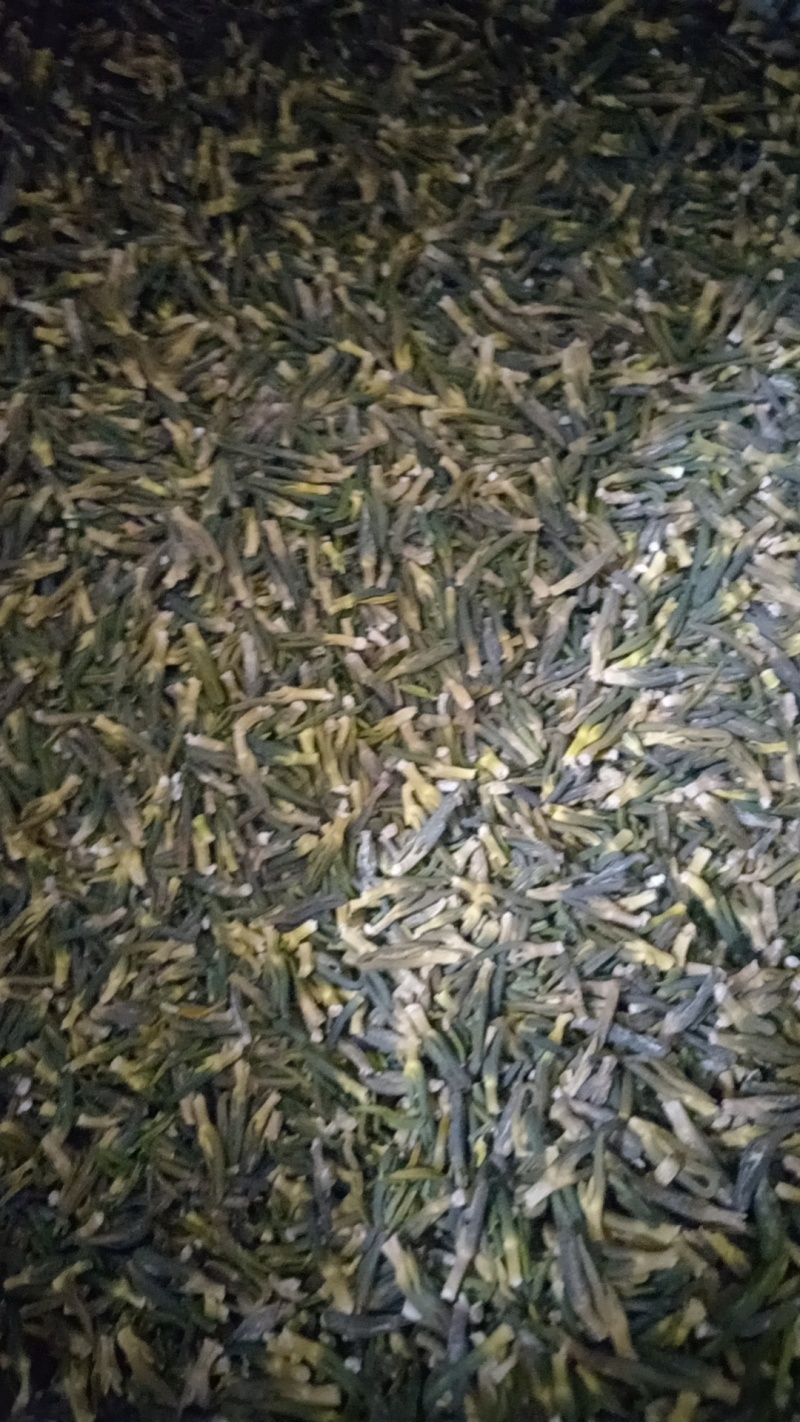 莲子芯上新！莲子心原材严选，实物实拍，鲁赣药材批发