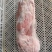 兔肉、兔肉、兔前腿、兔后腿、兔肚、兔肝