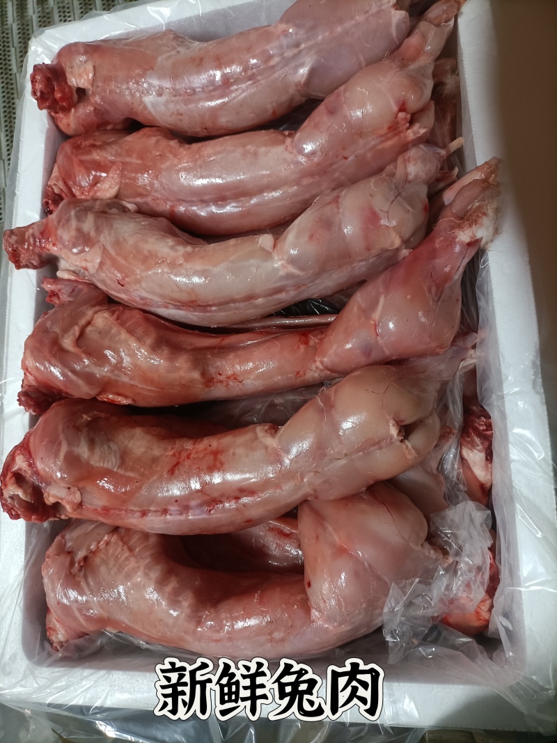 兔肉、兔肉、兔前腿、兔后腿、兔肚、兔肝