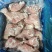 兔肉、兔肉、兔前腿、兔后腿、兔肚、兔肝