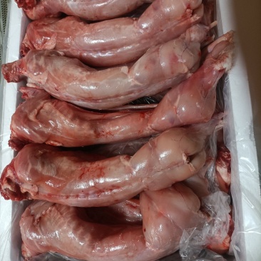 兔肉、兔肉、兔前腿、兔后腿、兔肚、兔肝