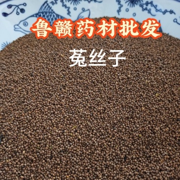 菟丝子菟丝子实拍批发各种中药材量大优惠