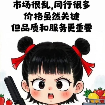 正宗驴肉批发