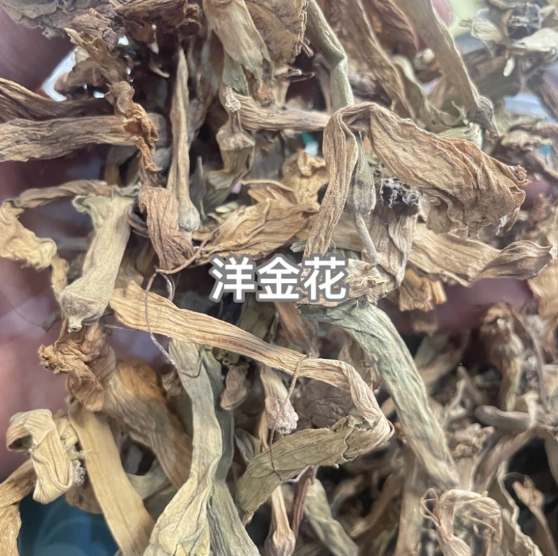 弥陀僧产地直售大货供应规格齐全