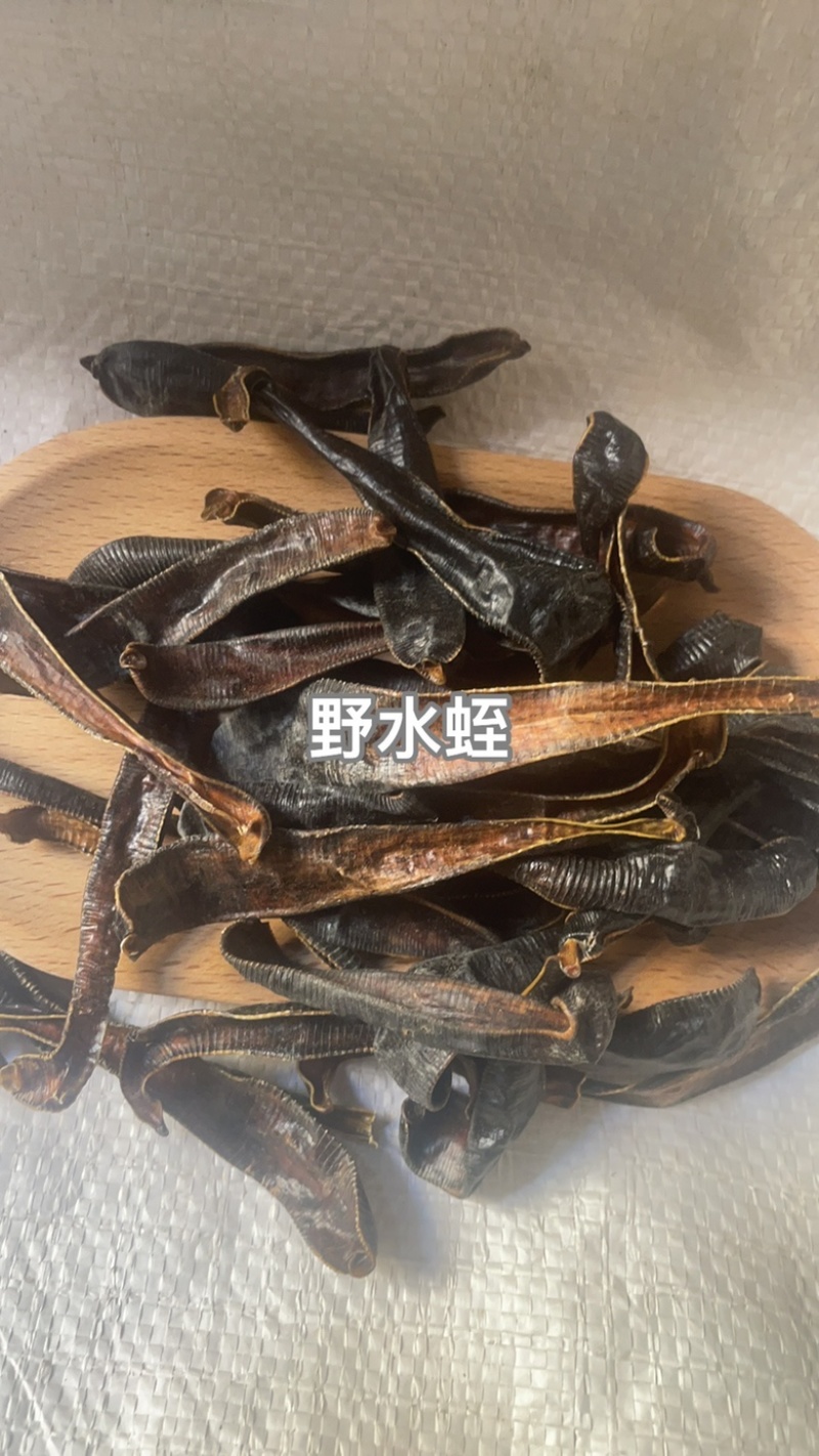 弥陀僧产地直售大货供应规格齐全