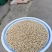 妙康芝麻颗粒饱满出油率高质量保障