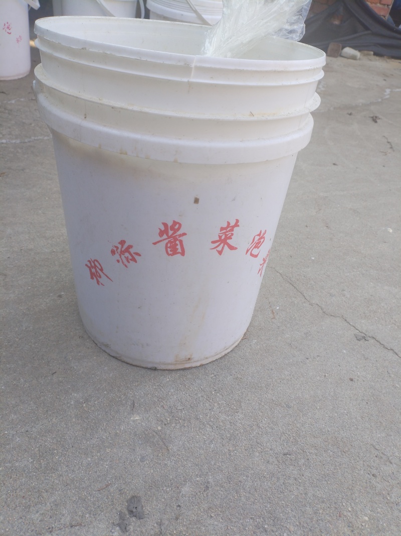 长杆白腌菜