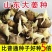 山东大姜种大量供应，货源充足，量大从优，成活率高。