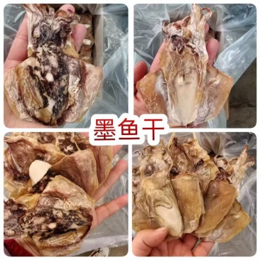 墨鱼干地摊电商批发大乌贼干货墨鱼干水产干货目鱼干干鱼
