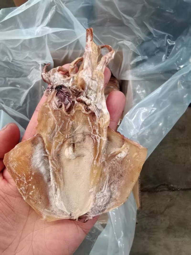 墨鱼干地摊电商批发大乌贼干货墨鱼干水产干货目鱼干干鱼