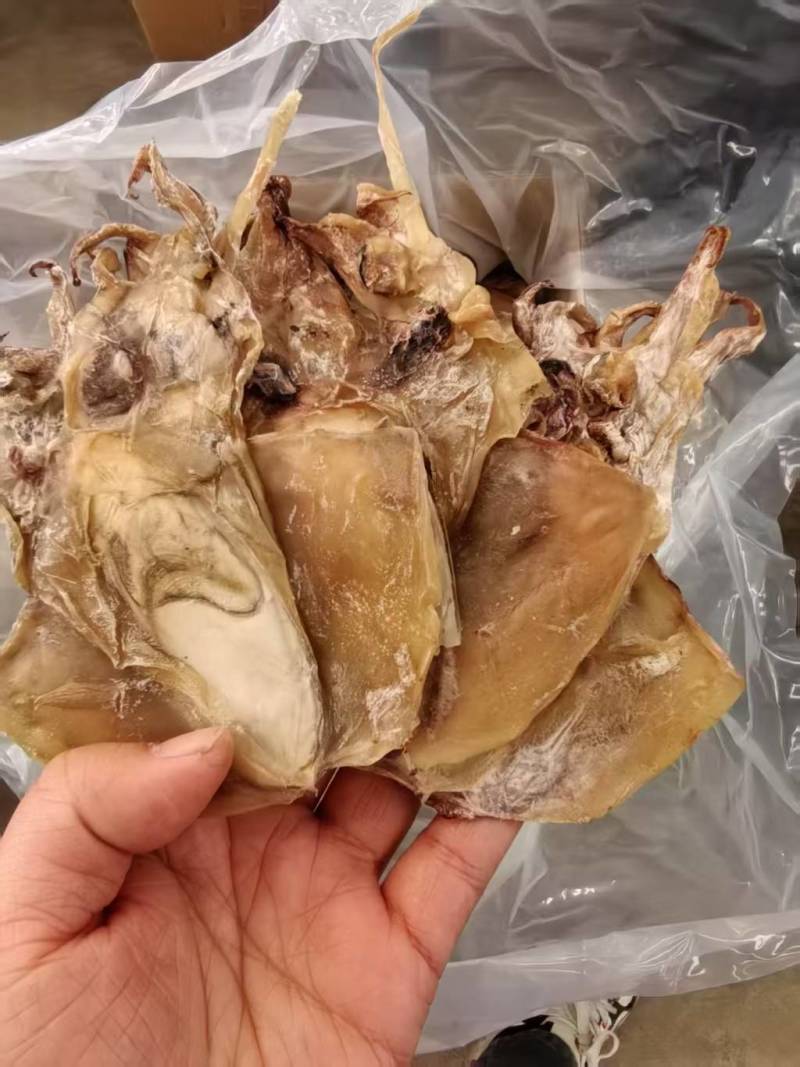 墨鱼干地摊电商批发大乌贼干货墨鱼干水产干货目鱼干干鱼