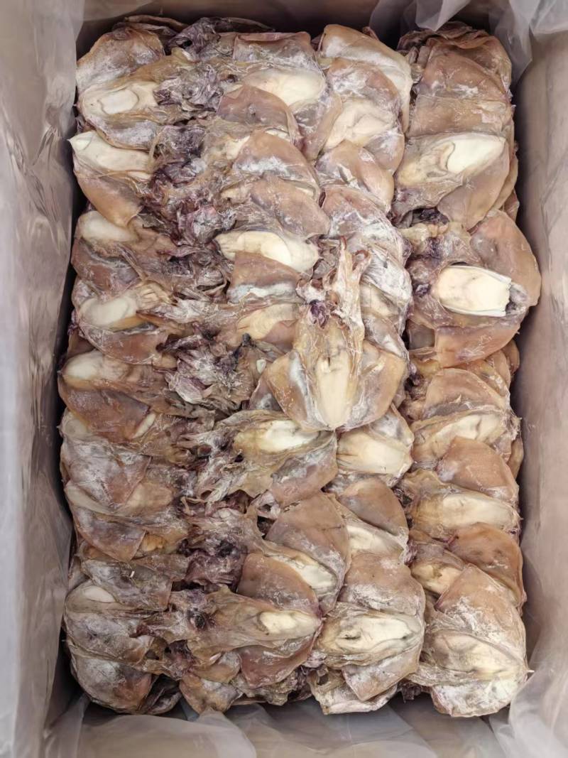墨鱼干地摊电商批发大乌贼干货墨鱼干水产干货目鱼干干鱼