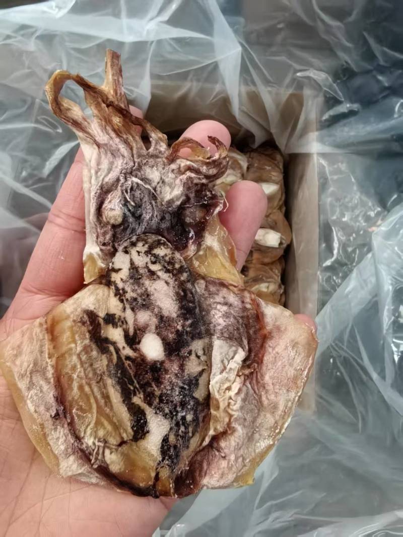 墨鱼干地摊电商批发大乌贼干货墨鱼干水产干货目鱼干干鱼